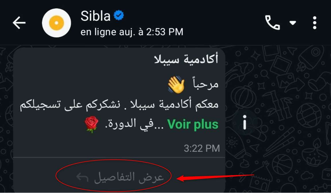 تعليمات الواتساب 2